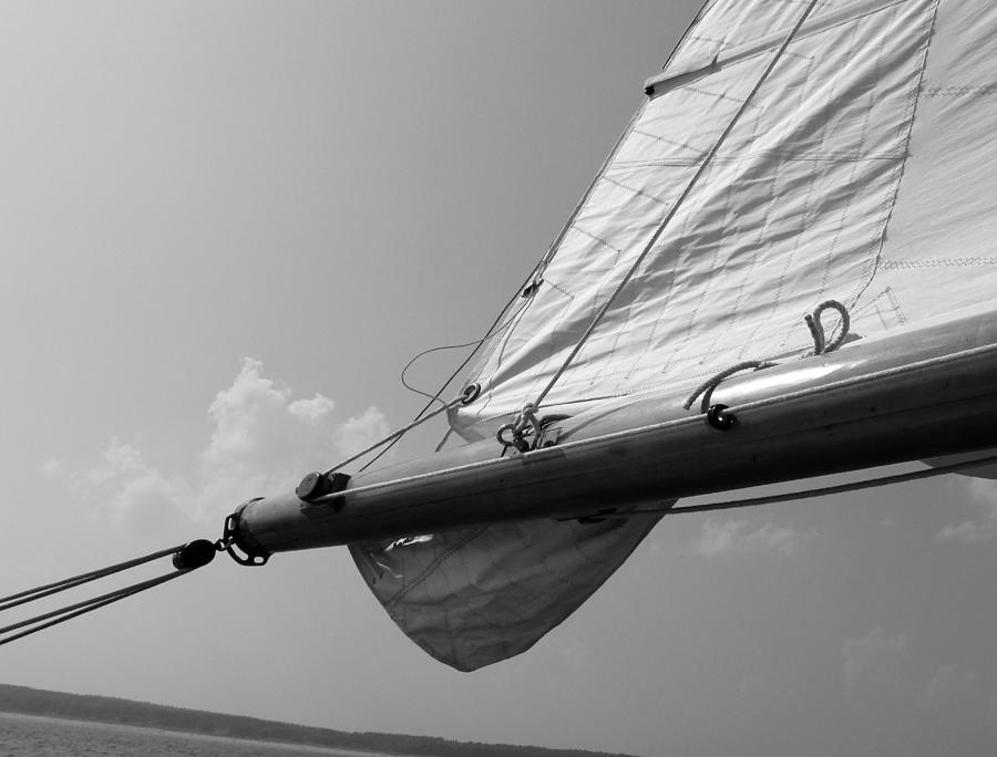 Sailing Photograph by Tony Grider