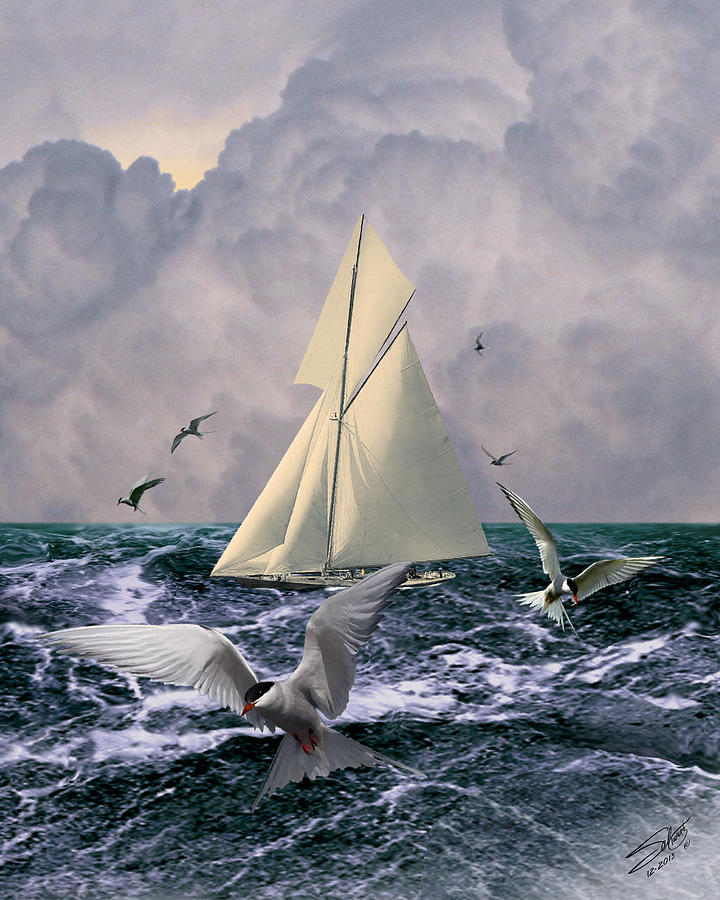 Sailing with the Terns Digital Art by M Spadecaller