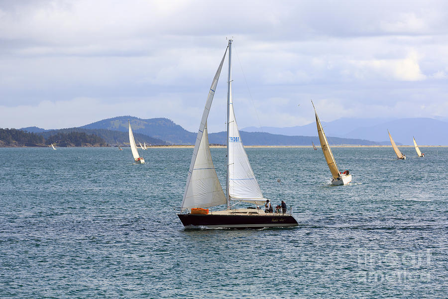 Sailing yachts in a close race Photograph by Louise Heusinkveld
