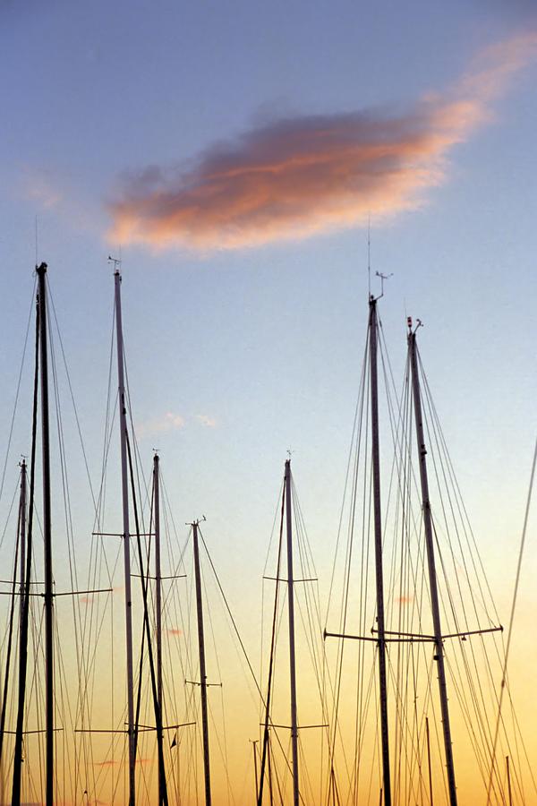 A Forest of Sailboat Masts Silhouetted by a setting Sun Photograph by John Harmon