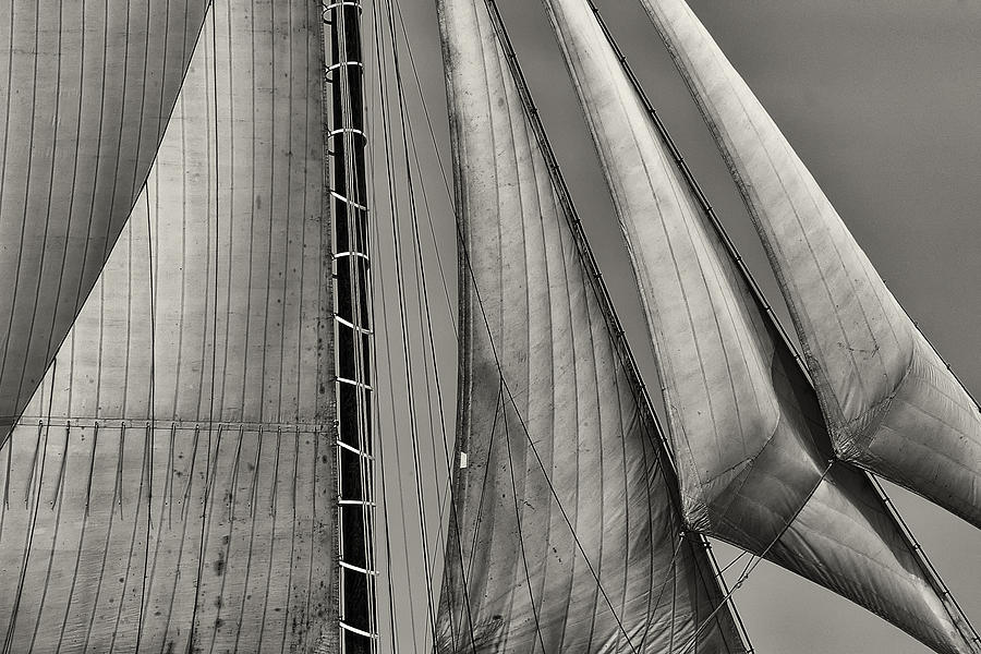 Sails Photograph by Fred LeBlanc