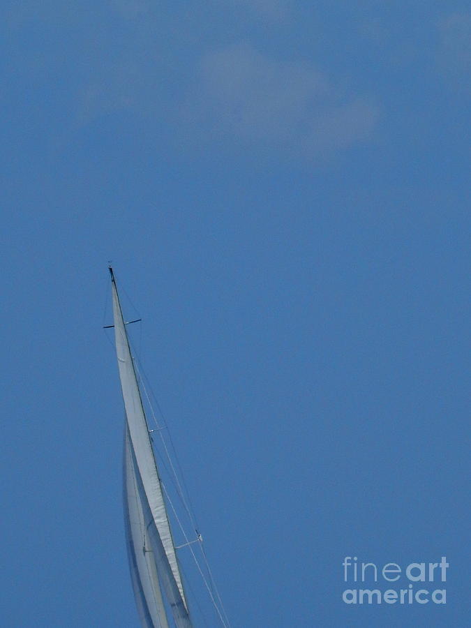 Sails In The Deep Blue Sky Of Puerta Maya Cozumel Mexico Photograph by Michael Hoard