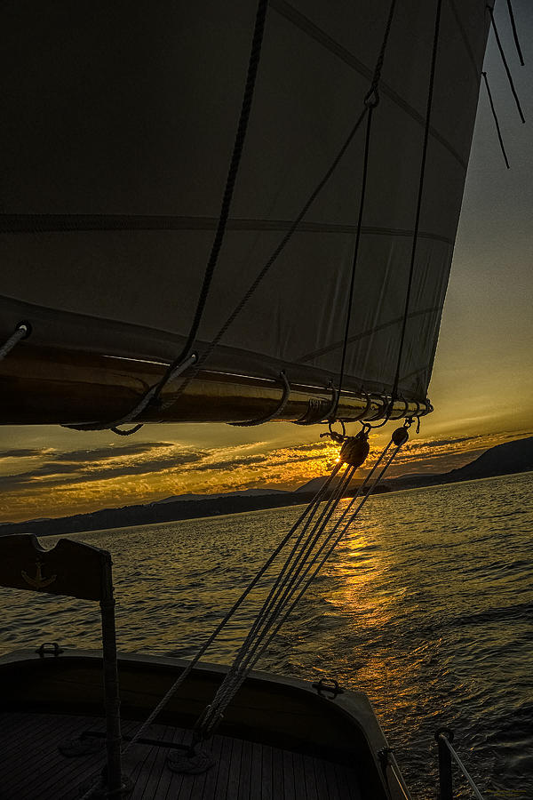 Sails in the Sunset Photograph by Marty Saccone