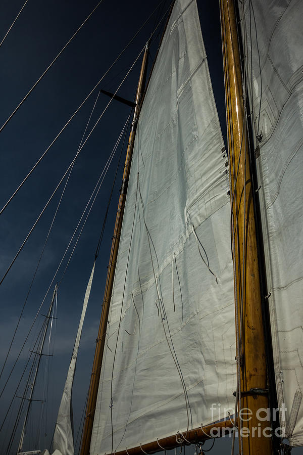 Sailboat mast Photograph by JBK Photo Art