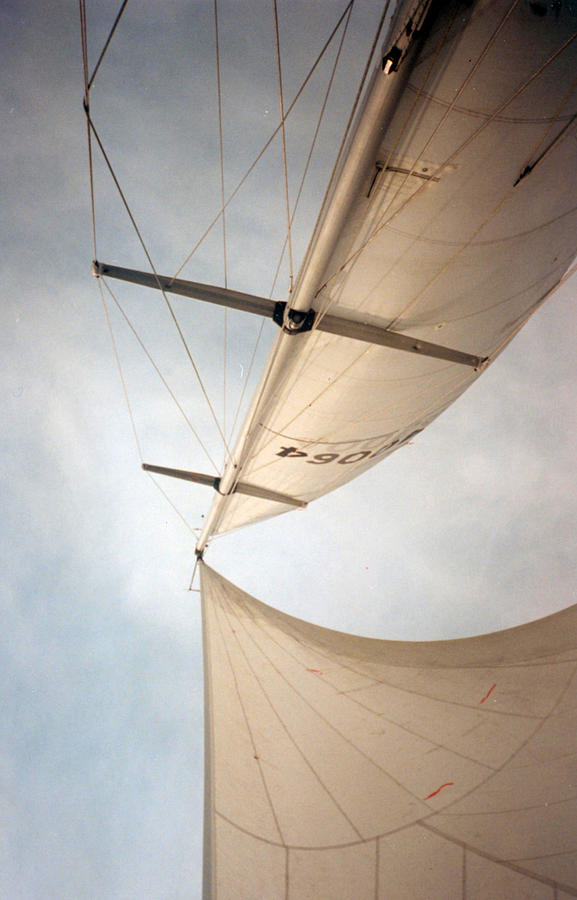 Sails Photograph by Jean Wolfrum