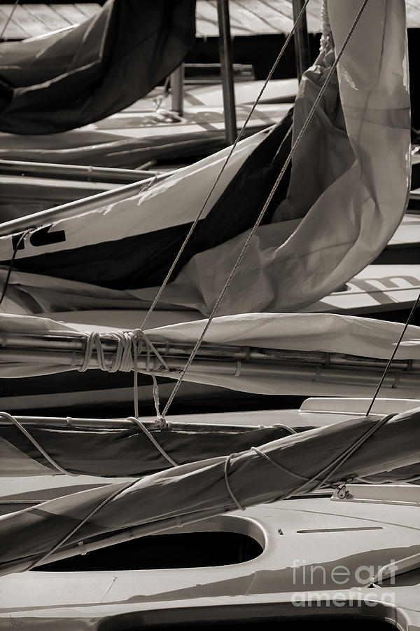 Sails Photograph by Jeff Breiman
