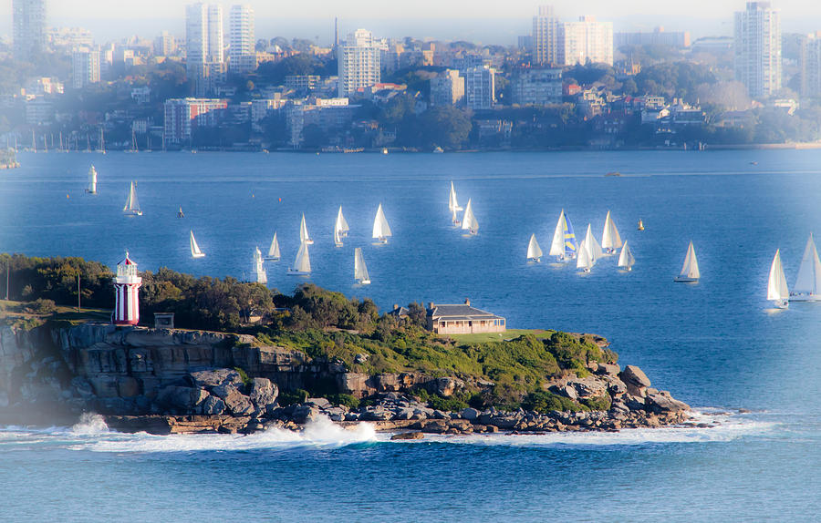 Sydney Photograph - Sails out to play by Miroslava Jurcik