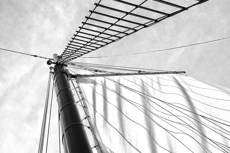 Rope Photograph - Sails Up by Robin Penrose