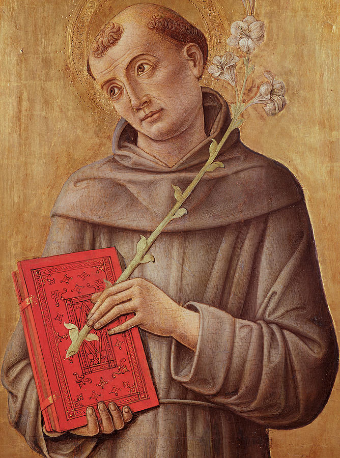 Flower Painting - Saint Anthony of Padua  by Bartolomeo Vivarini