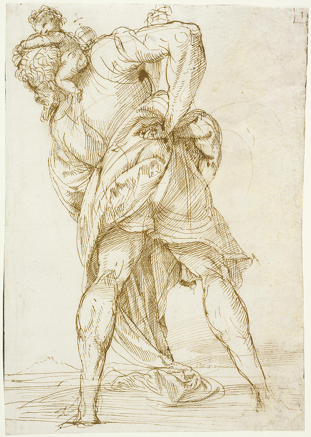 Saint Christopher Domenico Campagnola, Italian Drawing by Litz