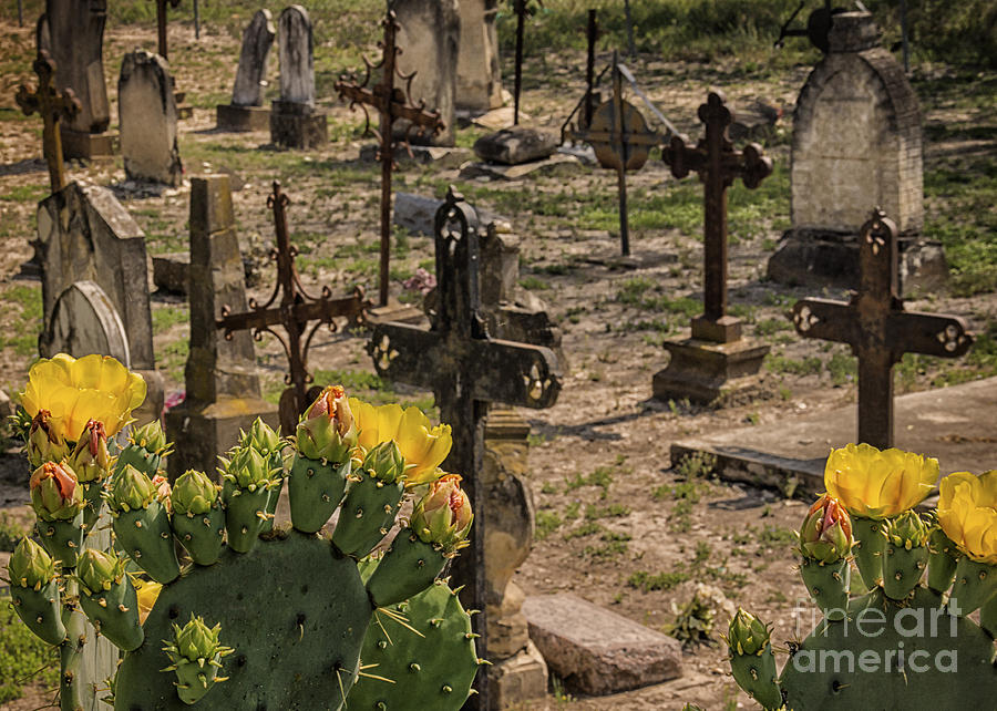 Saint Dominic Cemetery at Old DHanis Texas Photograph by Priscilla Burgers