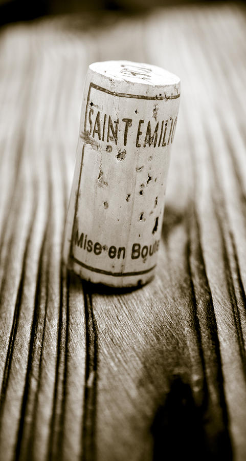 Wine Photograph - Saint Emilion Wine by Frank Tschakert