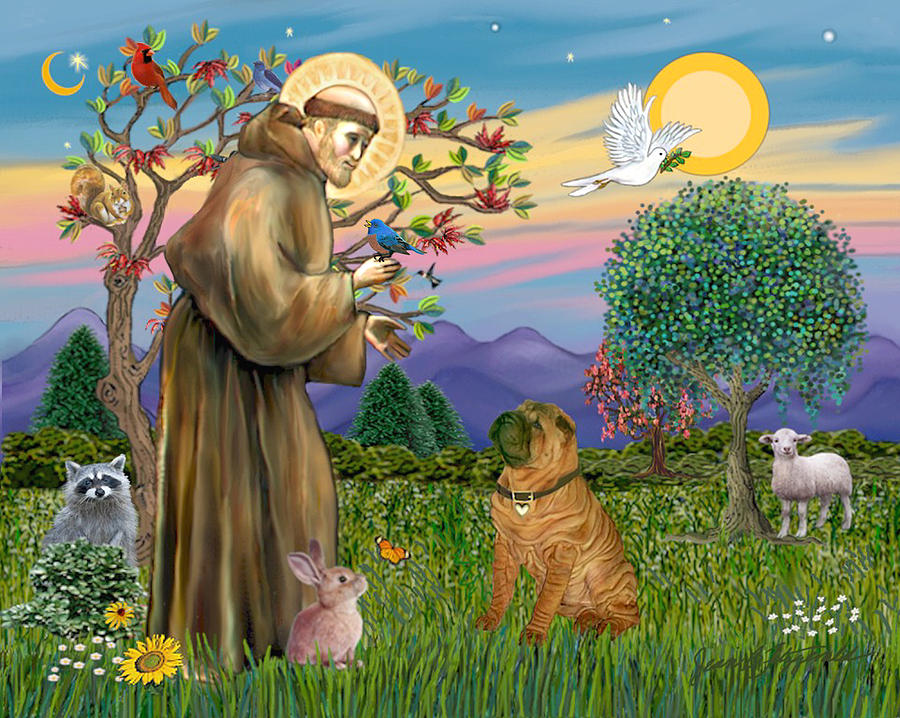 Saint Francis Blesses a Chinese Shar Pei Digital Art by Jean Batzell ...