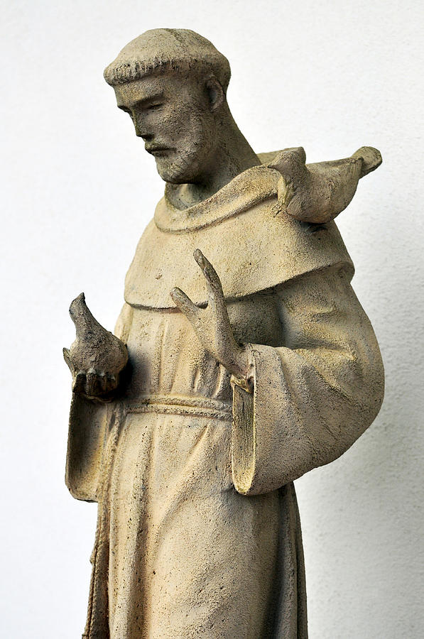 Saint Francis Of Assisi Statue With Birds Photograph