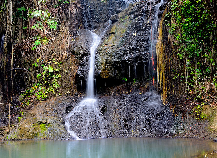 Saint Lucia - Latille Waterfall Photograph by Brendan Reals