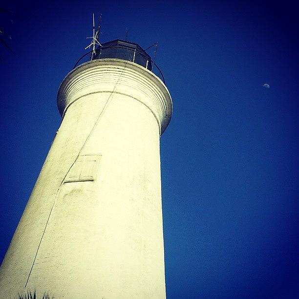 Wildlife Photograph - Saint Marks Lighthouse Looking Up by Lynn Palmer