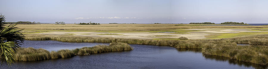 Wildlife Photograph - Saint Marks Salt Marsh Panorama by Lynn Palmer