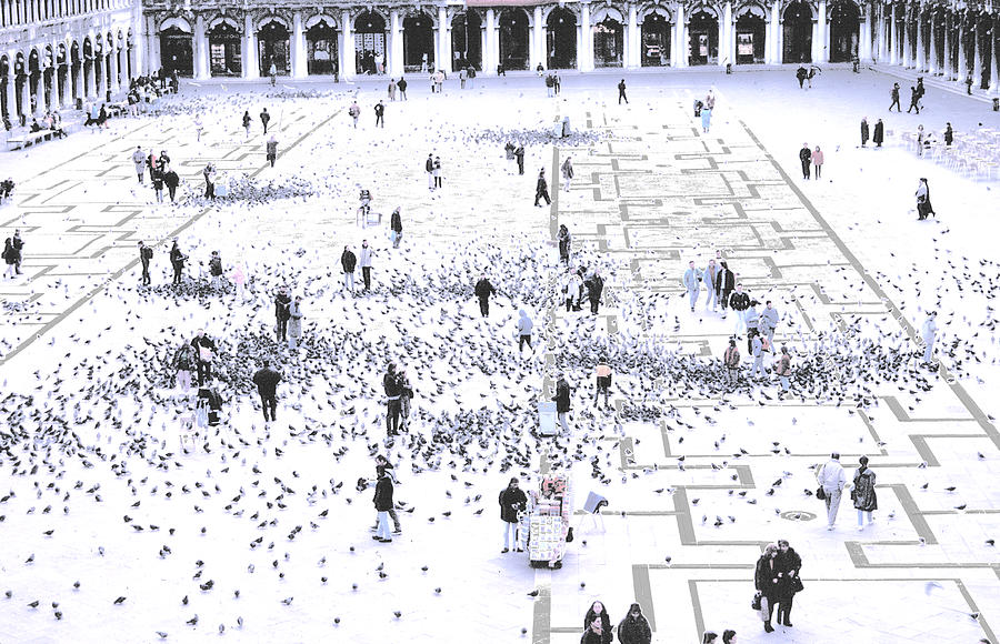 Saint Marks Square, People and Pigeons Photograph by Tom Wurl