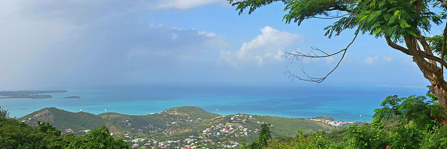 Tree Photograph - Saint Martin Panorama - Looking down on Sint Maarten by Toby McGuire