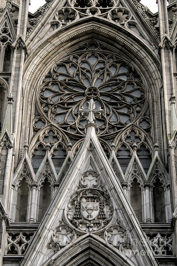 Saint Patricks Cathedral Photograph by Richard Lynch