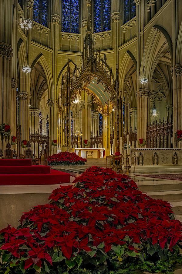 Saint Patricks Cathedral Photograph by Susan Candelario