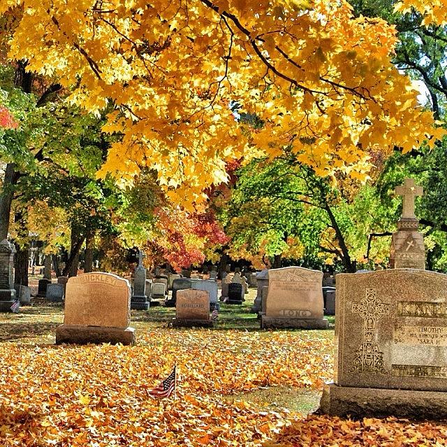 Saint Pauls Cemetery In Arlington Photograph by Jeanine Farley
