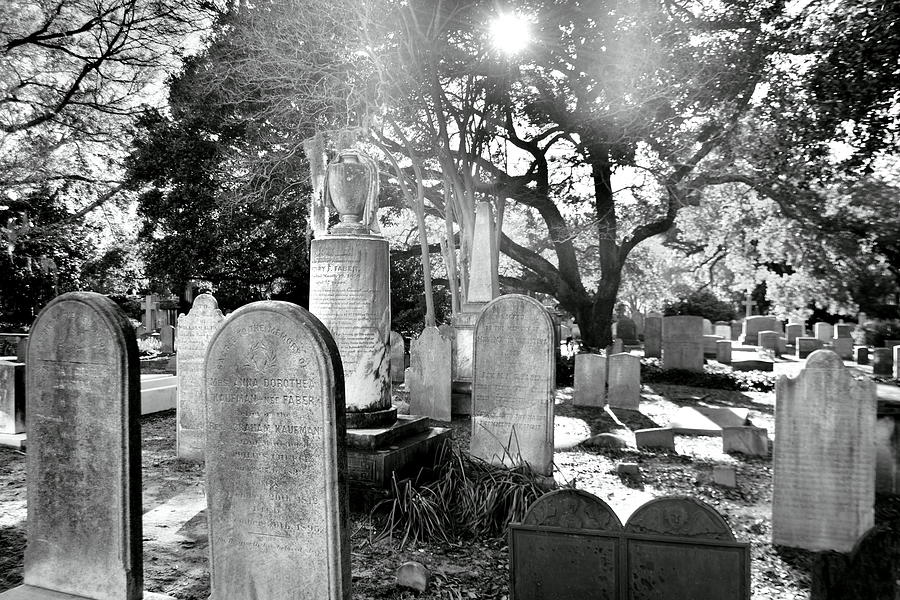 Tree Photograph - Saint Philips Church Cemetery Charleston SC HDR by Lisa Wooten