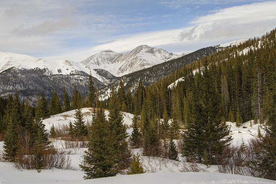 Saints John Trail Colorado Photograph by Tracy Smith Saints John Trail Colorado Photograph by Tracy Smith
