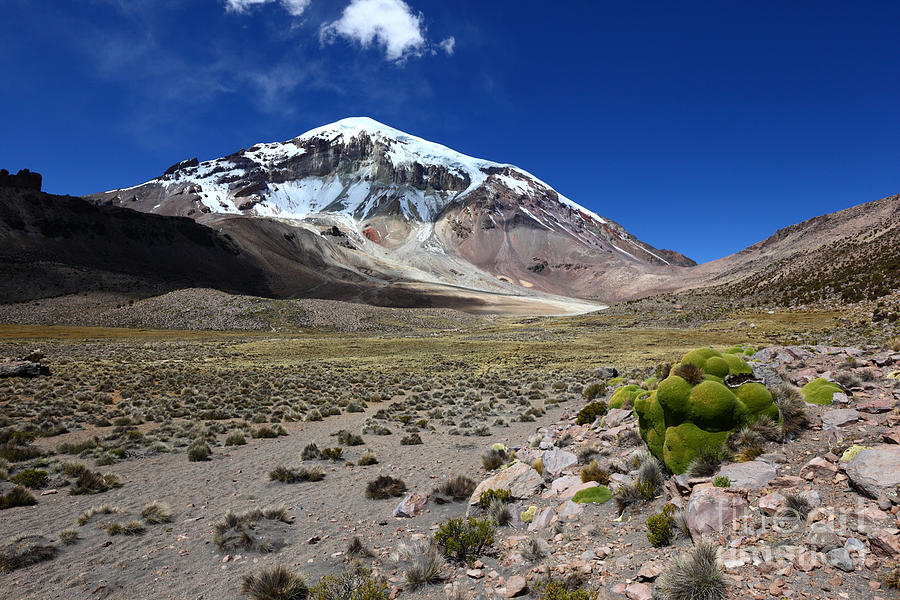 Sajama Volcano Bolivias Highest Mountain Photograph by James Brunker