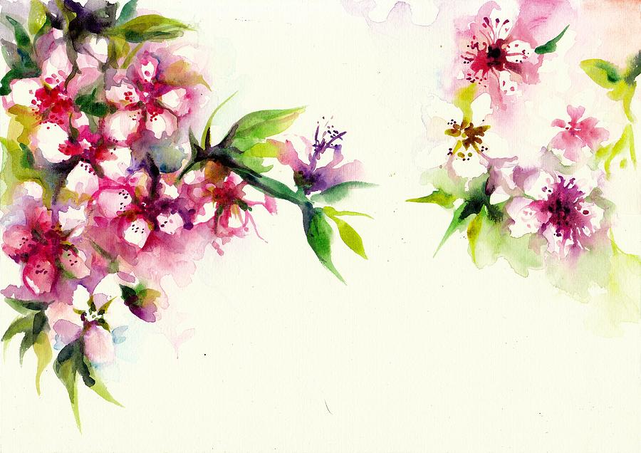 Sakura - Cherry Tree Blossom Watercolor Painting by Tiberiu Soos