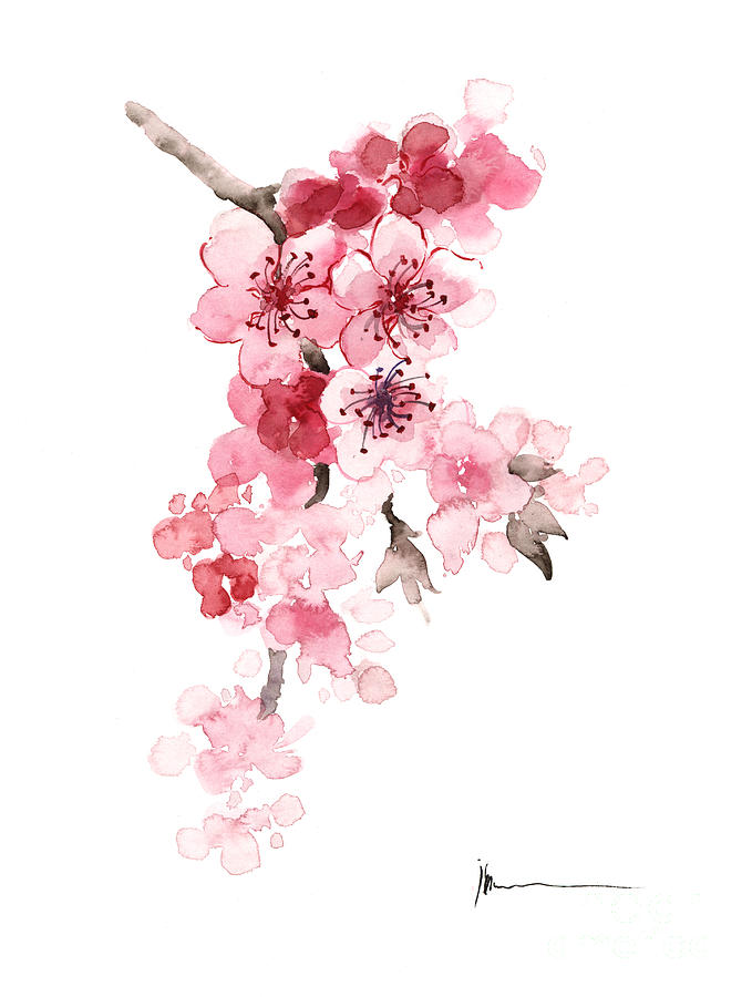 Sakura Painting - Sakura flowers watercolor art print painting by Joanna Szmerdt