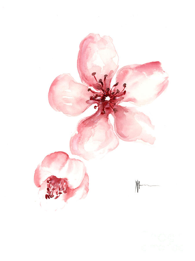 Cherry blossom art print watercolor painting japanese flowers large poster  Greeting Card by Joanna Szmerdt