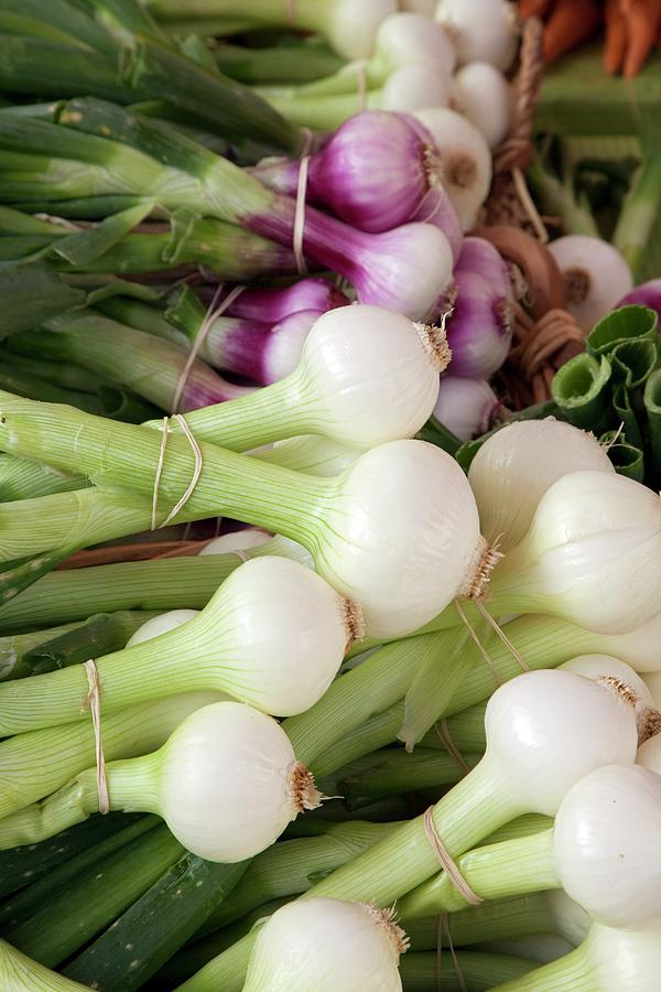 Salad Onions Photograph by Jim West