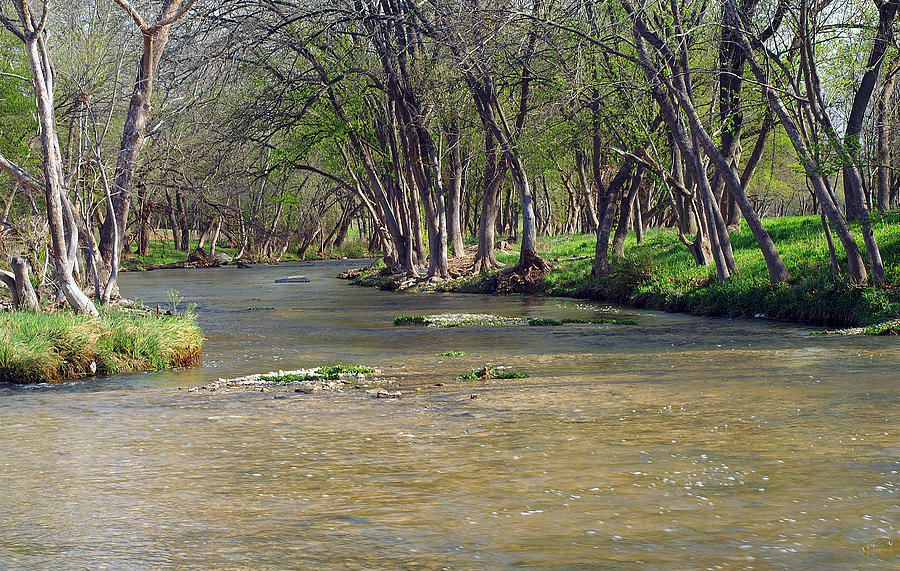 Salado River Photograph by Bill Morgenstern