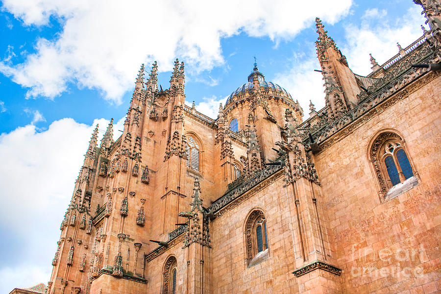 Salamanca Cathedral Photograph by JR Photography