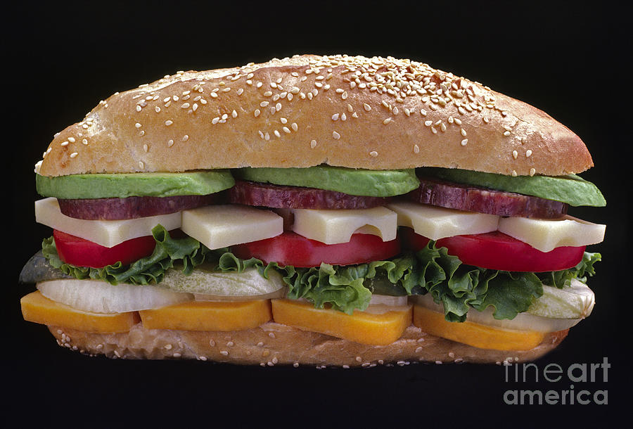 Salami Cheese and Avocado Sandwich  Photograph by Craig Lovell