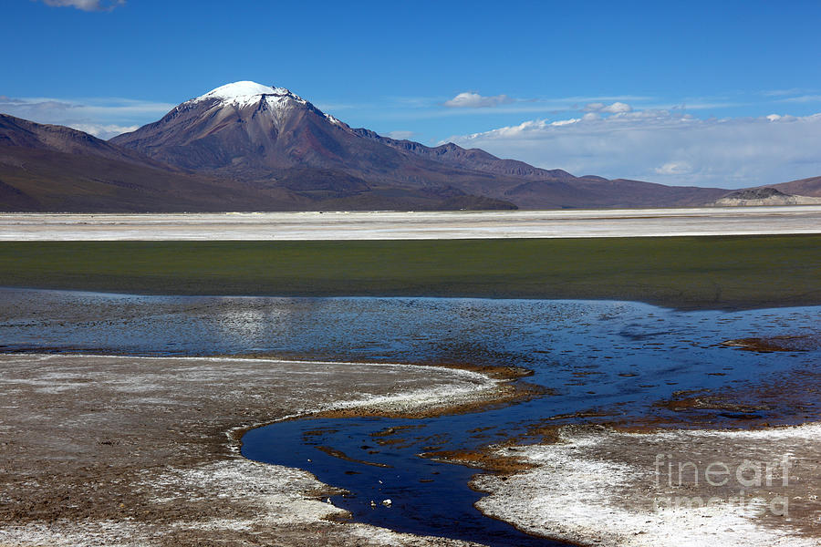 Salar de Surire and Puquintica volcano Chile Photograph by James Brunker