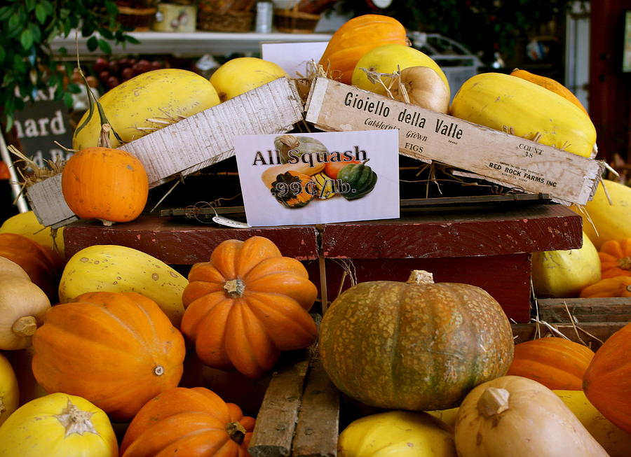 San Joaquin Valley Squash Display Photograph by Michele Myers