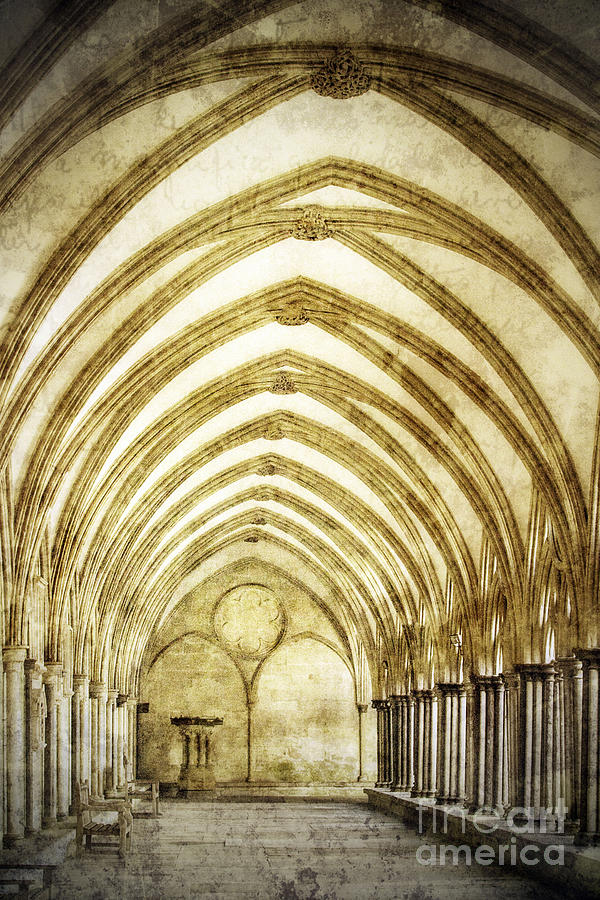 Salisbury Cathedral Cloisters 2 Photograph by Linsey Williams