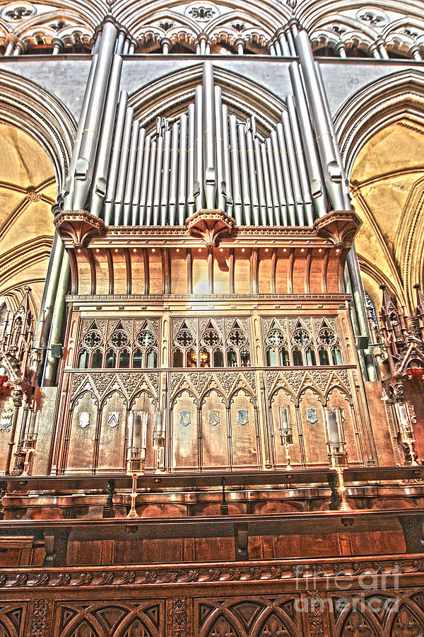 Salisbury Cathedral Organ Photograph by Terri Waters