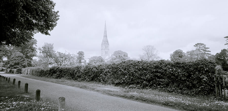 Salisbury Cathedral Photograph by Shaun Higson