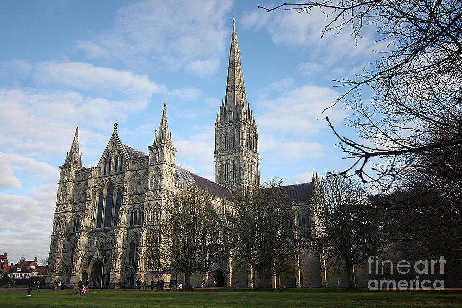 Salisbury Cathedral Photograph by Terri Waters