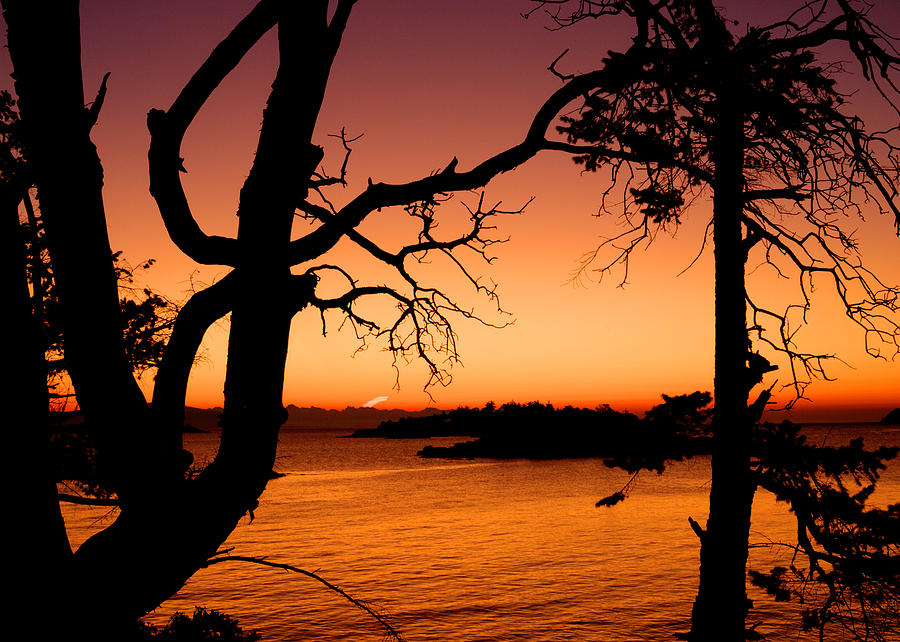 Salish Sunrise II Photograph by Randy Hall