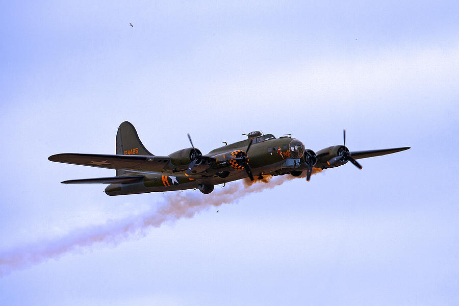 SallyB Coming home Photograph by Paul Scoullar