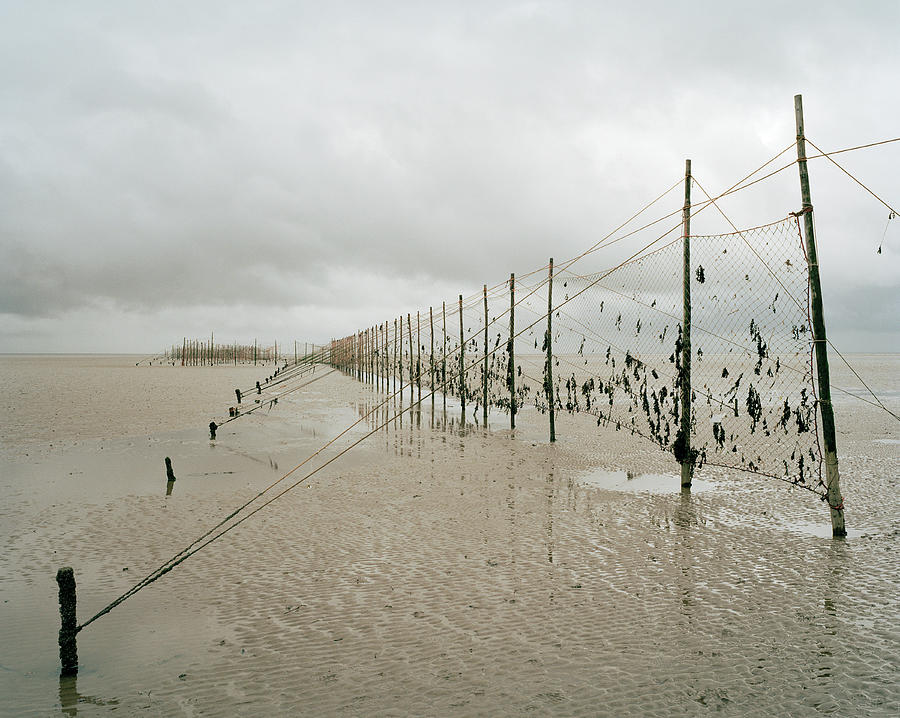 Salmon Nets Photograph by Science Photo Library Salmon Nets Photograph by Science Photo Library