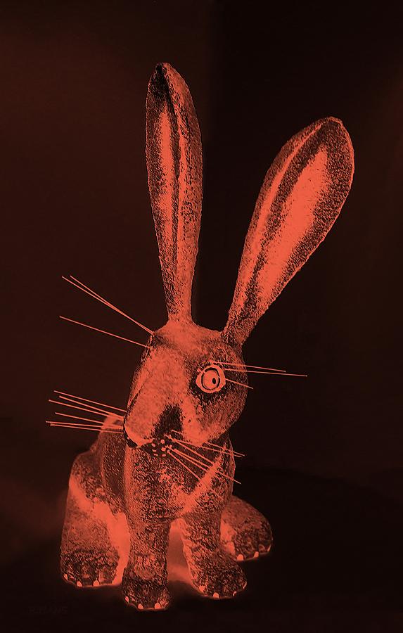 Salmon New Mexico Rabbit Photograph by Rob Hans