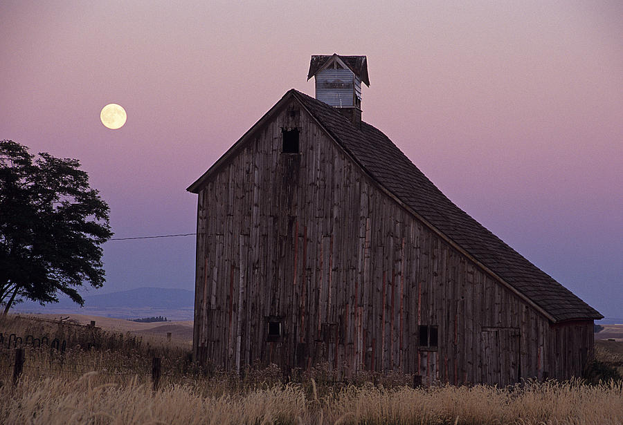 Salt Barn Mooned Photograph by Doug Davidson