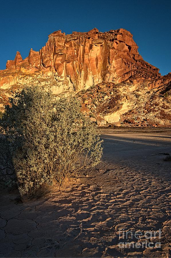 Sunset Photograph - Salt Bush on Clay Pan at Rainbow Valley by Peter Kneen