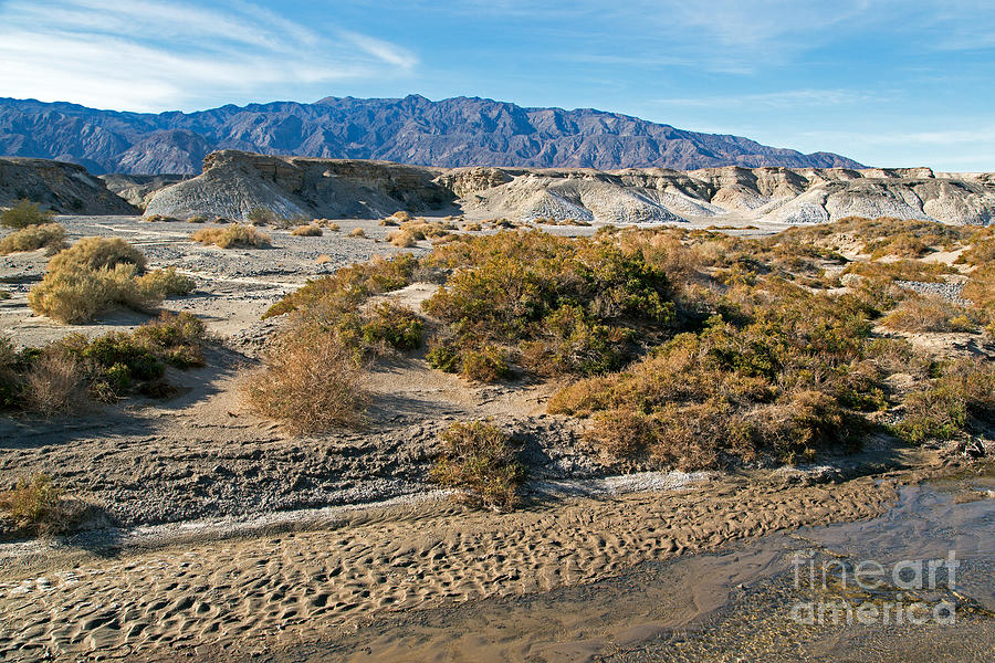 Salt Creek Death Valley National Park Photograph by Fred Stearns