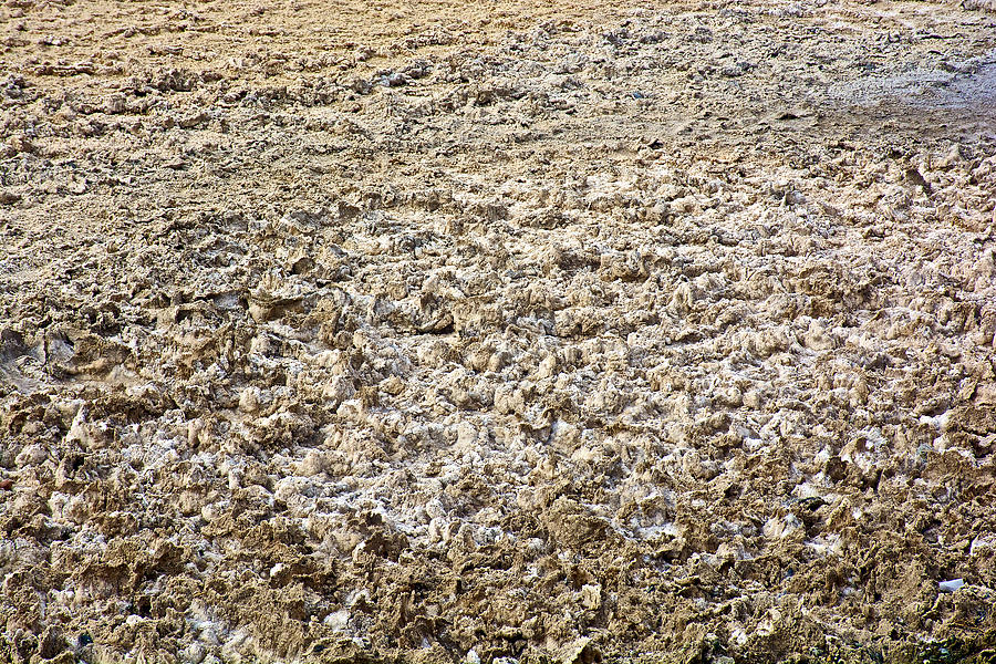 Salt Crust at Badwater in Death Valley National Park-California ...